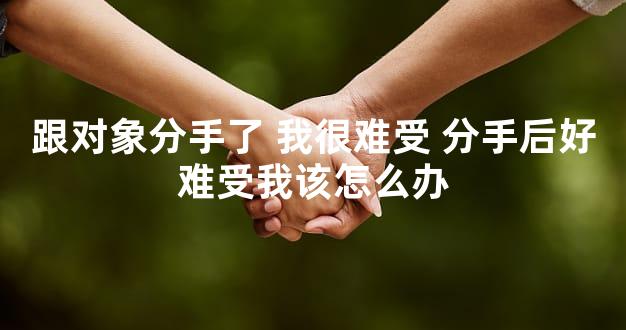 跟对象分手了 我很难受 分手后好难受我该怎么办